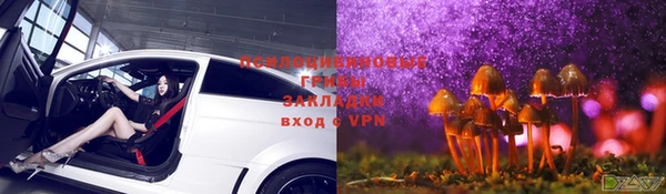 мяу мяу мука Белокуриха