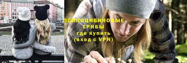 PSILOCYBIN Белоозёрский